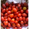 Pompelmo