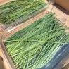 Salvia fresca vaschetta 30 gr