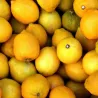 Mandarini