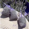 Latte detergente delicato alla lavanda