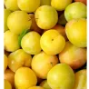 Pesche nettarine