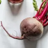 Spaghetti integrali