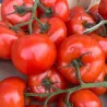 Aglio