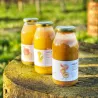 Succo in polpa di mela