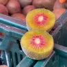 Pompelmo