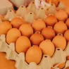 Uova fresche (confezione da 10)