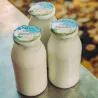 Formaggio puzzone di capra