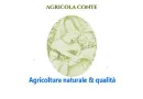 Azienda Agricola Conte