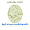 Azienda Agricola Conte