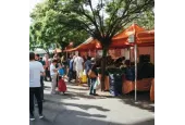 Ogni terza Domenica del mese - "Mercato agricolo Solidando"